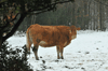 dsc_0033.jpg