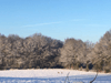 dsc_0049.jpg