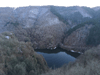 dsc_0053.jpg