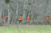 dsc_0001.jpg