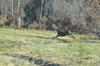 dsc_0005.jpg