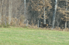 dsc_0008.jpg