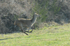 dsc_0011.jpg