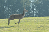 dsc_0012.jpg