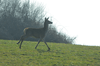 dsc_0014.jpg