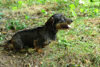 dsc_0032.jpg