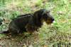 dsc_0034.jpg