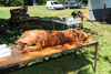 dsc_0038.jpg