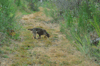 dsc_0004.jpg