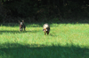dsc_0001.jpg