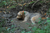 dsc_0005.jpg