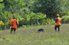 dsc_0017.jpg