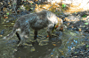 dsc_0006.jpg