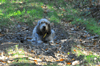 dsc_0007.jpg