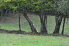 dsc_0001.jpg