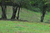 dsc_0003.jpg