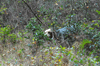 dsc_0005.jpg