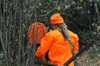 dsc_0006.jpg