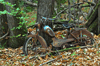 dsc_0007.jpg