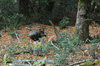dsc_0010.jpg