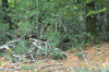dsc_0012.jpg