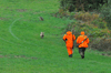 dsc_0015.jpg