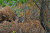 dsc_0018.jpg