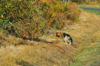 dsc_0007.jpg