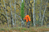 dsc_0001.jpg