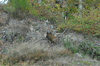 dsc_0002.jpg