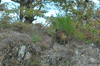 dsc_0003.jpg