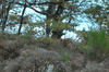 dsc_0004.jpg