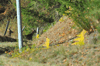 dsc_0007.jpg
