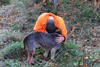 dsc_0014.jpg