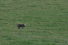 dsc_0003.jpg