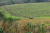 dsc_0004.jpg