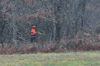 dsc_0006.jpg