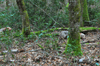dsc_0004.jpg