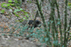 dsc_0002.jpg