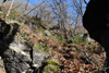 dsc_0010.jpg