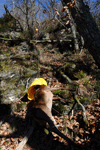dsc_0011.jpg