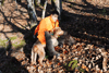 dsc_0009.jpg