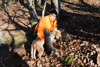 dsc_0010.jpg