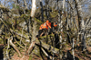 dsc_0016.jpg