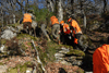 dsc_0017.jpg