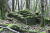 dsc_0028.jpg