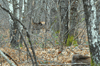 dsc_0040.jpg