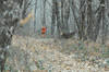 dsc_0042.jpg