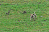 dsc_0002.jpg