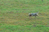 dsc_0003.jpg